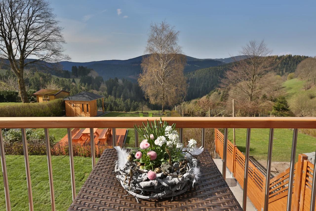 Landhaeuser Bergwiese - Ferienhaus Hoehenblick Sankt Andreasberg Buitenkant foto